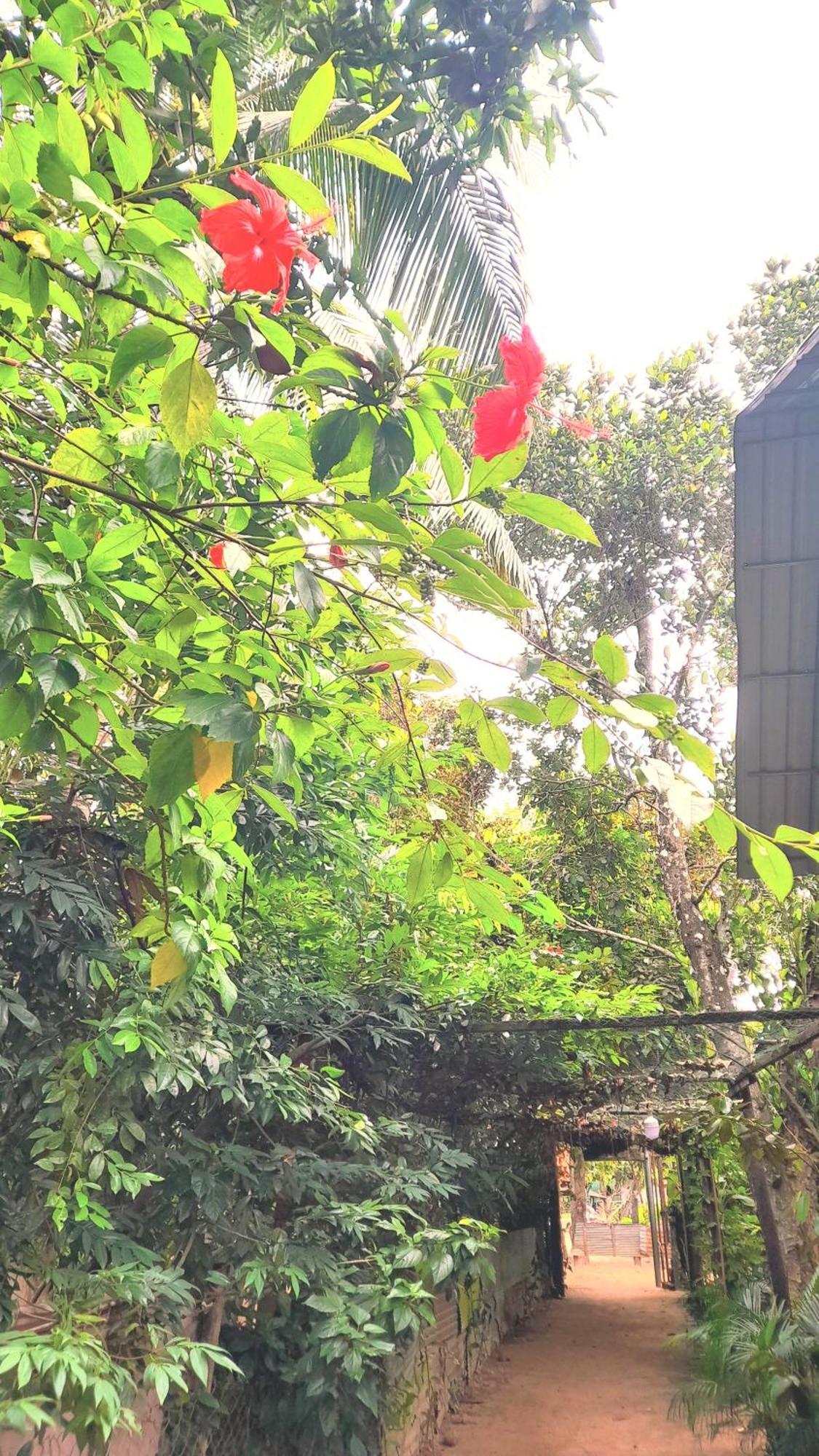 Sok Phen Homestay Ciudad de Siem Riep Exterior foto