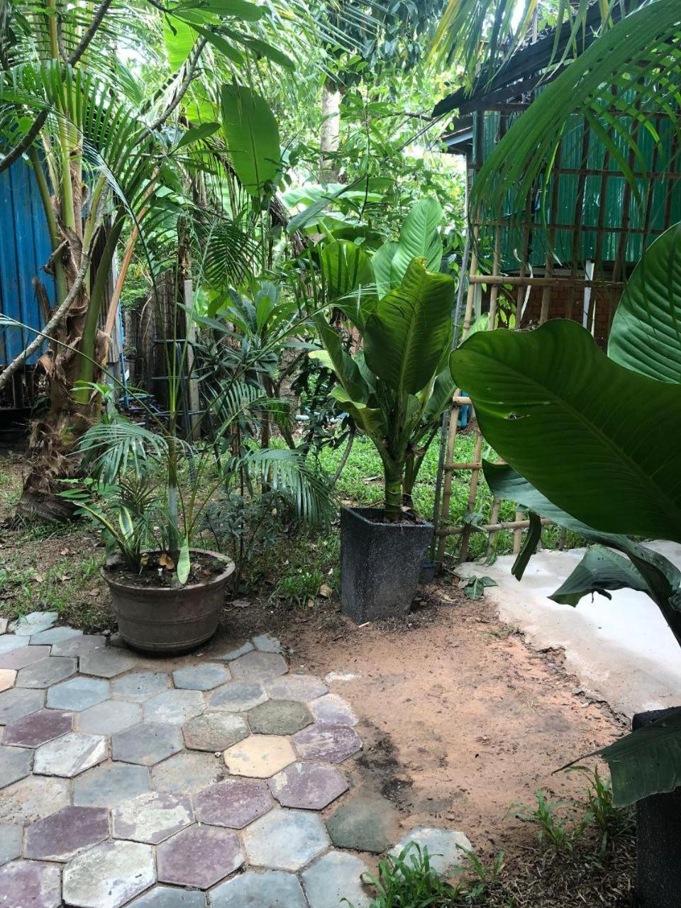 Sok Phen Homestay Ciudad de Siem Riep Exterior foto
