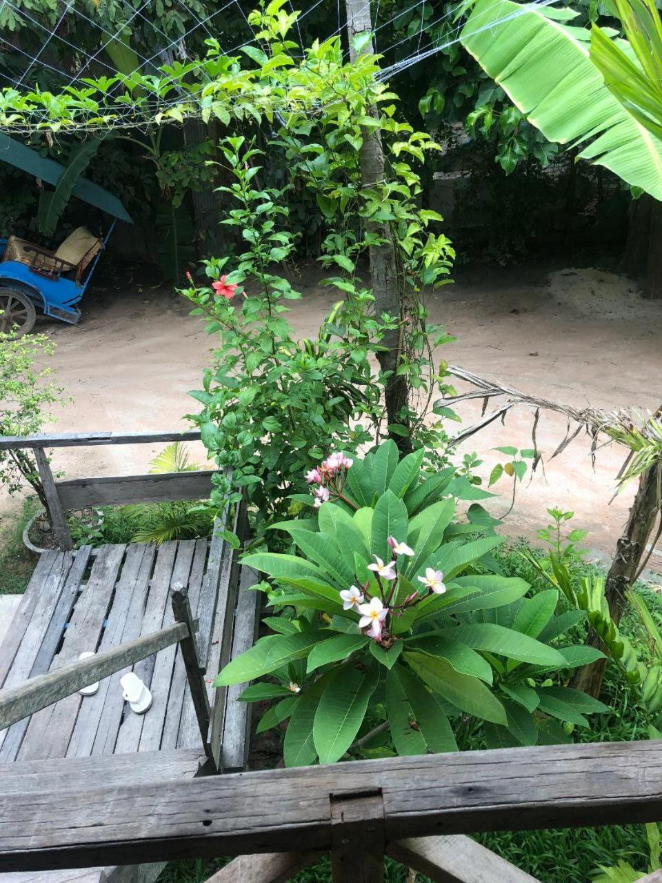 Sok Phen Homestay Ciudad de Siem Riep Exterior foto