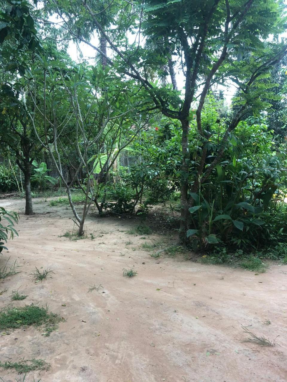 Sok Phen Homestay Ciudad de Siem Riep Exterior foto