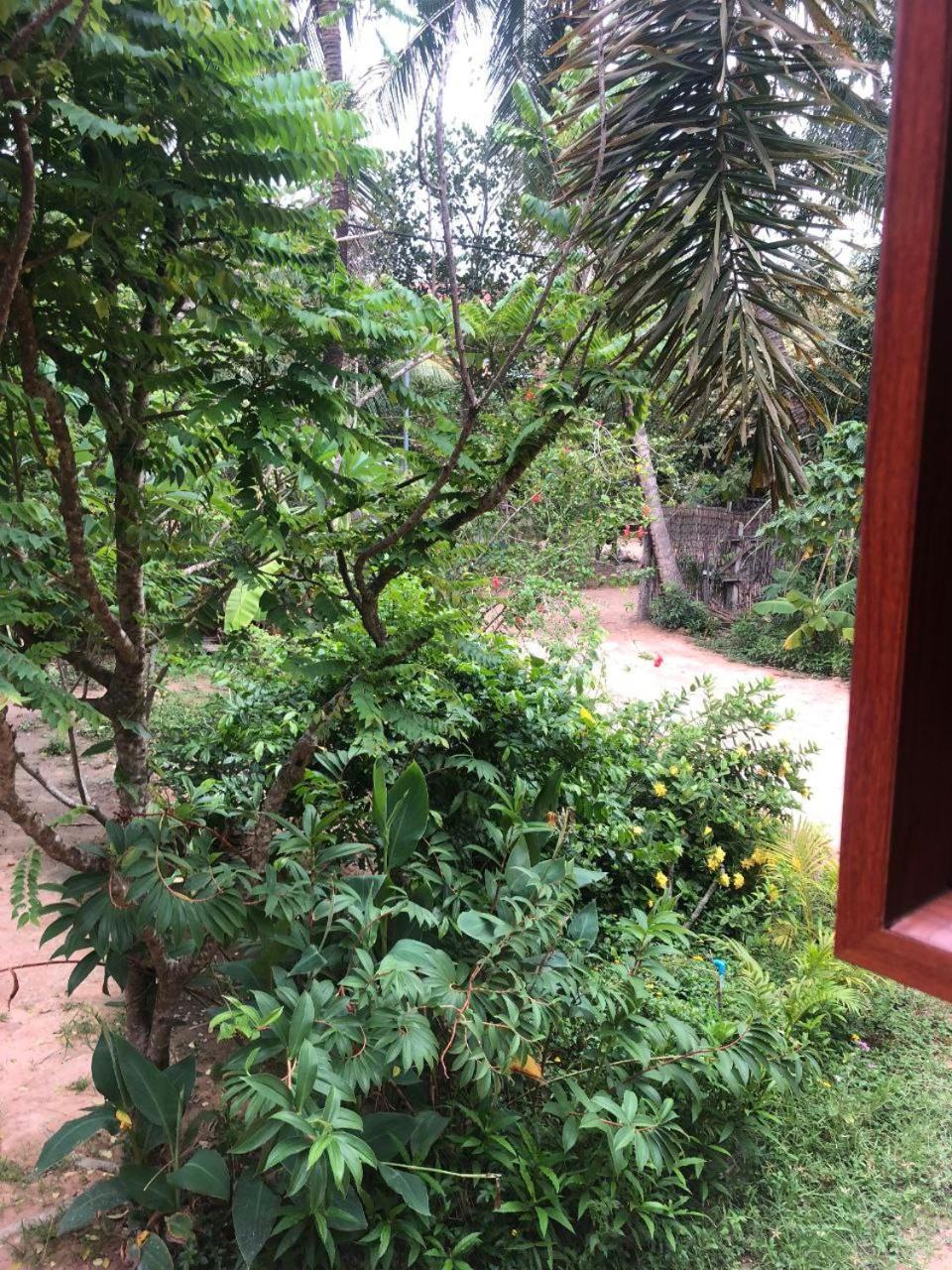 Sok Phen Homestay Ciudad de Siem Riep Exterior foto