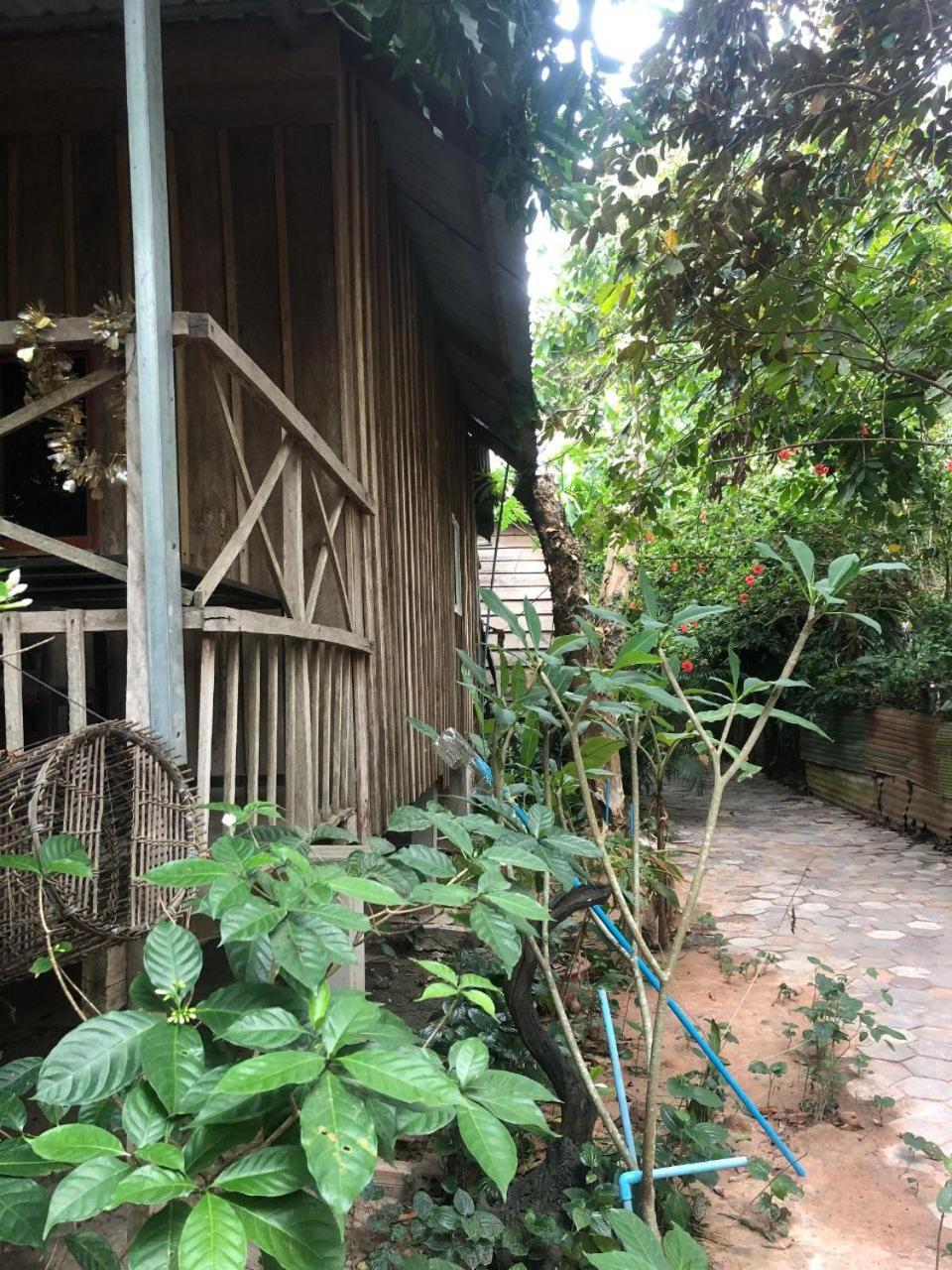Sok Phen Homestay Ciudad de Siem Riep Exterior foto