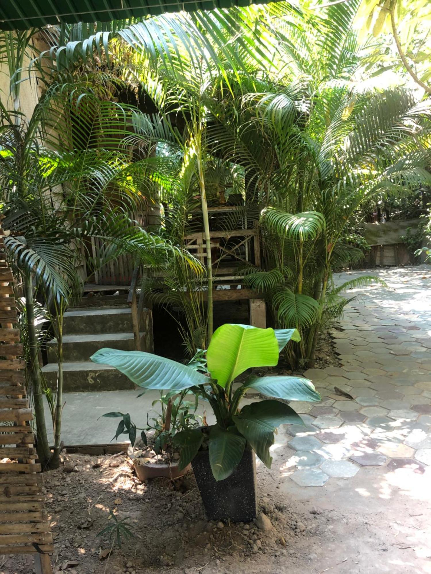 Sok Phen Homestay Ciudad de Siem Riep Exterior foto
